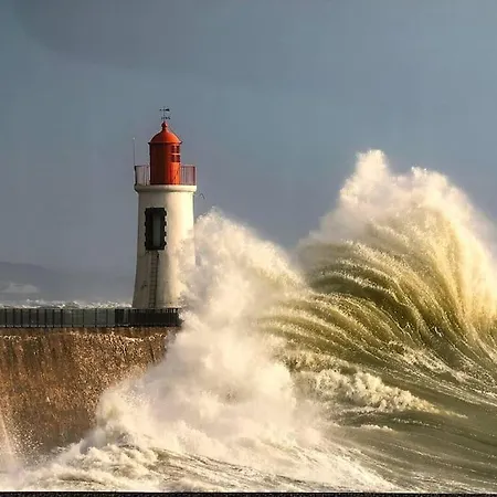 Apartament Fleur Marine - Bienvenue *