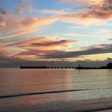 Fleur Marine - Bienvenue Les Sables-dʼOlonne