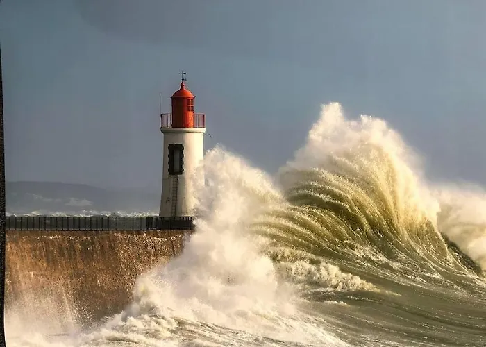Apartament Fleur Marine - Bienvenue *