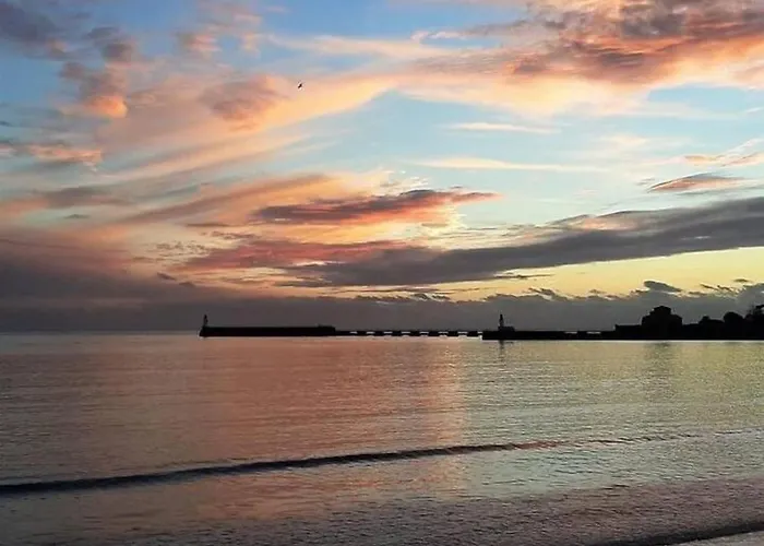 Fleur Marine - Bienvenue Les Sables-dʼOlonne